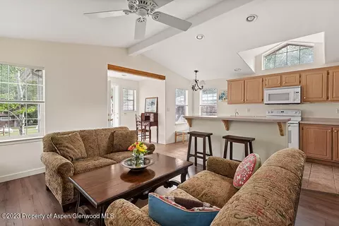 64 Bear Trail Aspen Co 81611 Trl, Aspen, CO 81611 photo 4