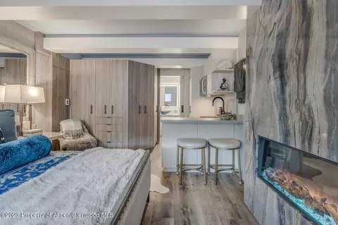 914 Waters Avenue 12 Aspen Co 81611 Ave #12, Aspen, CO 81611
