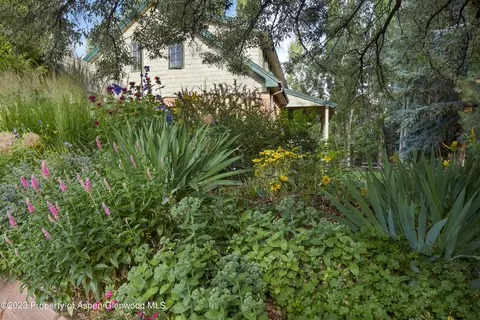 135 Riverside Drive Basalt Co 81621 Dr, Basalt, CO 81621 photo 18