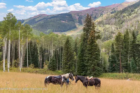 tbd Conundrum Creek Road Aspen Co 81611 Rd, Aspen, CO 81611
