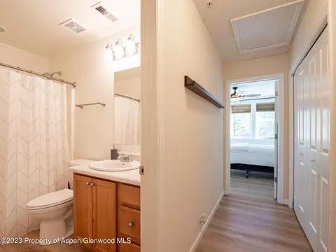 308 Lakeside Drive Basalt Co 81621 Dr, Basalt, CO 81621 photo 12