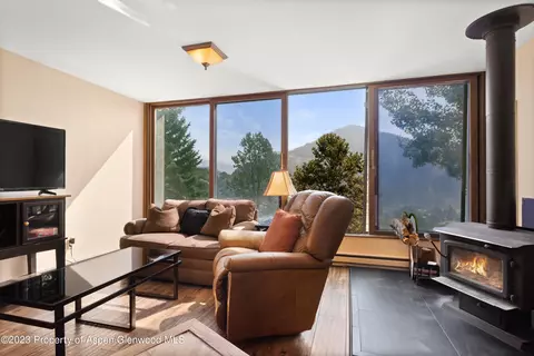 Living - 805 Pinon Drive 9 Basalt Co 81621 Dr #9, Basalt, CO 81621 photo 4 of 4