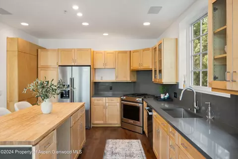 302 Wild Spring Lane Basalt Co 81621 Ln, Basalt, CO 81621 photo 6