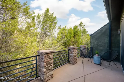 302 Wild Spring Lane Basalt Co 81621 Ln, Basalt, CO 81621 photo 15