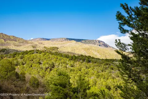 302 Wild Spring Lane Basalt Co 81621 Ln, Basalt, CO 81621 photo 17