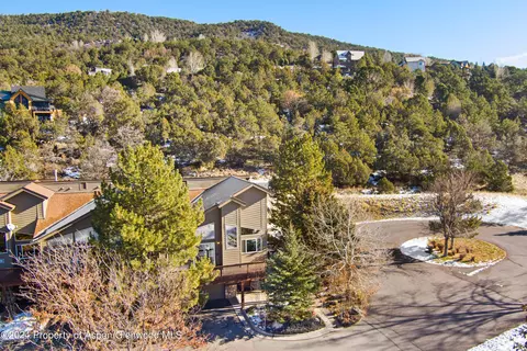 View/Area - 16 Pine Ridge Road Basalt Co 81621 Rd, Basalt, CO 81621 photo 6 of 19