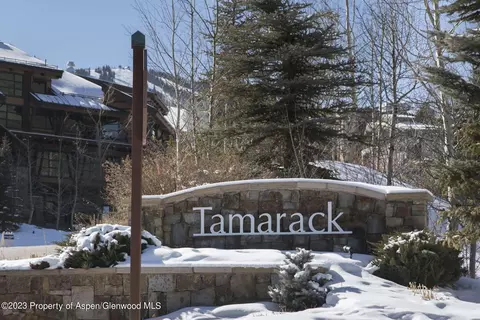 135 Carriage Way 29 Snowmass Village Co 81615 Way #29, Snowmass Village, CO 81615