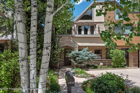 1016 E Hyman Avenue 2 Aspen Co 81611 Ave #2, Aspen, CO 81611
