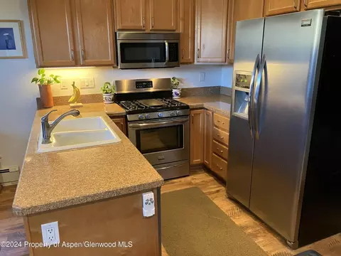 336 Alexander Lane 23 Basalt Co 81621 Ln #23, Basalt, CO 81621 photo 6