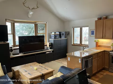 336 Alexander Lane 23 Basalt Co 81621 Ln #23, Basalt, CO 81621 photo 4