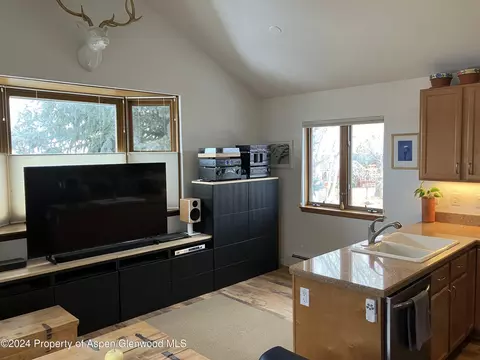 336 Alexander Lane 23 Basalt Co 81621 Ln #23, Basalt, CO 81621 photo 9