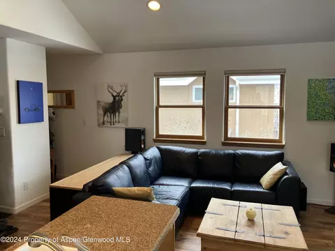 336 Alexander Lane 23 Basalt Co 81621 Ln #23, Basalt, CO 81621 photo 10
