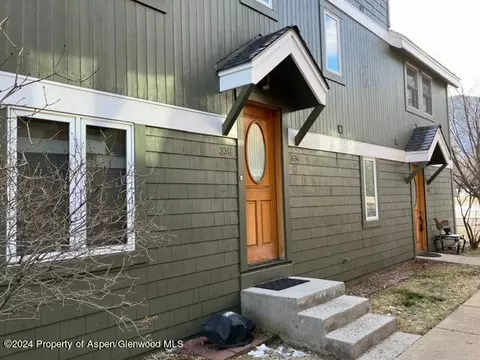 336 Alexander Lane 23 Basalt Co 81621 Ln #23, Basalt, CO 81621