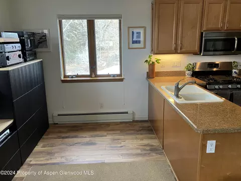 336 Alexander Lane 23 Basalt Co 81621 Ln #23, Basalt, CO 81621 photo 8