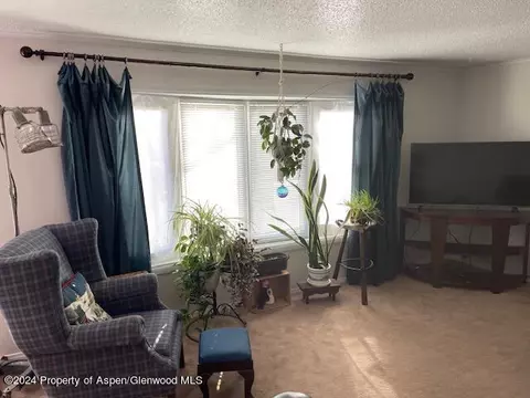 1661 E 7th Street Craig Co 81625 St, Craig, CO 81625 photo 12