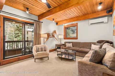 610 S West End Street D201 Aspen Co 81611 St #D201, Aspen, CO 81611