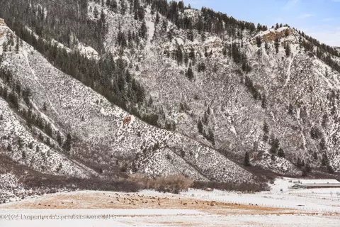 390 Apple Drive Basalt Co 81621 Dr, Basalt, CO 81621 photo 15