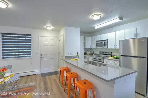 3206 Elk Lane 3206 Basalt Co 81621 Ln #3206, Basalt, CO 81621 photo 3