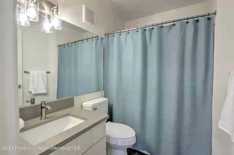 3206 Elk Lane 3206 Basalt Co 81621 Ln #3206, Basalt, CO 81621 photo 13