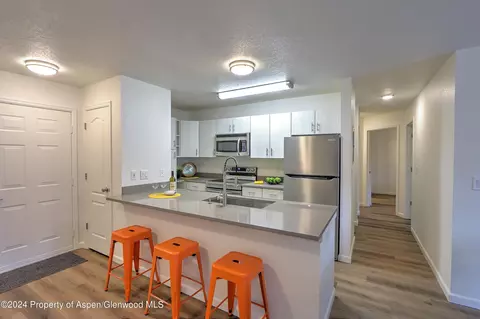 3206 Elk Lane 3206 Basalt Co 81621 Ln #3206, Basalt, CO 81621 photo 4