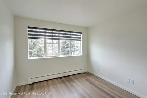 3206 Elk Lane 3206 Basalt Co 81621 Ln #3206, Basalt, CO 81621 photo 11