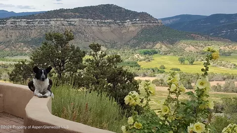 27067 Cactus Park Road Cedaredge Co 81413 Rd, Cedaredge, CO 81413