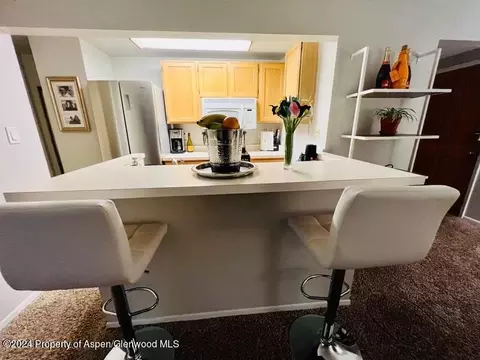 119 E Cooper Avenue 16 Aspen Co 81611 Ave #16, Aspen, CO 81611