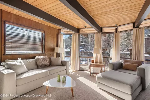 803 E Durant Avenue 10 Aspen Co 81611 Ave #10, Aspen, CO 81611