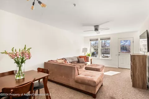 Living - 209 Lakeside Court Basalt Co 81621 Ct, Basalt, CO 81621 photo 1 of 3