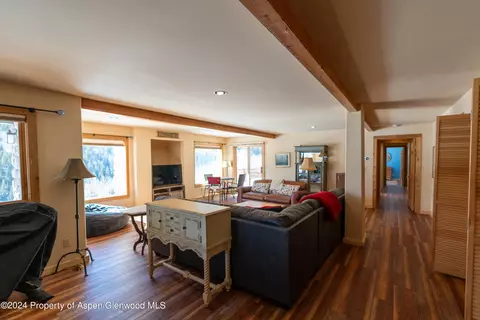 Living - 491 Mclaughlin Lane Basalt Co 81621 Ln, Basalt, CO 81621 photo 10 of 11