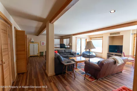 Living - 491 Mclaughlin Lane Basalt Co 81621 Ln, Basalt, CO 81621 photo 9 of 11