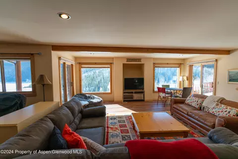 Living - 491 Mclaughlin Lane Basalt Co 81621 Ln, Basalt, CO 81621 photo 11 of 11