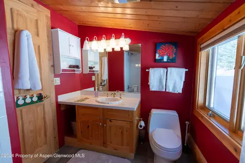 Bath - 491 Mclaughlin Lane Basalt Co 81621 Ln, Basalt, CO 81621 photo 4 of 6