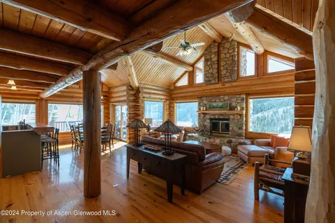 Living - 491 Mclaughlin Lane Basalt Co 81621 Ln, Basalt, CO 81621 photo 5 of 11