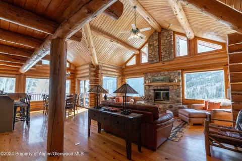 Living - 491 Mclaughlin Lane Basalt Co 81621 Ln, Basalt, CO 81621 photo 8 of 11