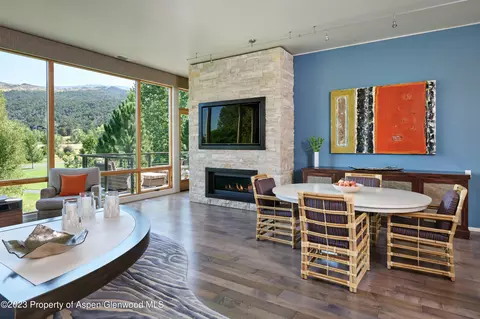 202 Evans Road 203 Basalt Co 81621 Rd #203, Basalt, CO 81621 photo 5