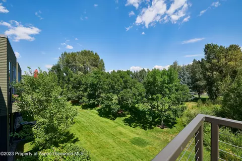 202 Evans Road 203 Basalt Co 81621 Rd #203, Basalt, CO 81621 photo 18
