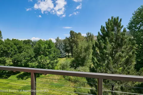 202 Evans Road 203 Basalt Co 81621 Rd #203, Basalt, CO 81621 photo 17