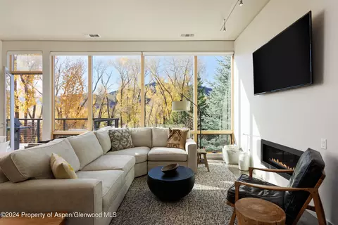 202 Evans Road 204 Basalt Co 81621 Rd #204, Basalt, CO 81621