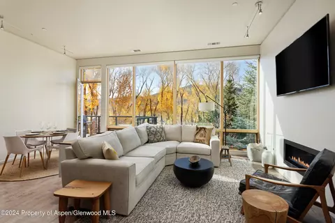 Living - 202 Evans Road 204 Basalt Co 81621 Rd #204, Basalt, CO 81621 photo 2 of 2