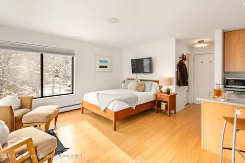 725 E Main Street 302 Aspen Co 81611 St #302, Aspen, CO 81611