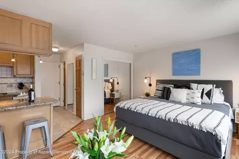 725 E Main Street 304 Aspen Co 81611 St #304, Aspen, CO 81611