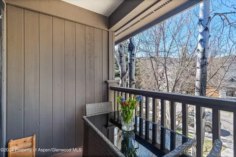 325 Summerset Lane Unit A Basalt Co 81621 Ln UNIT A, Basalt, CO 81621 photo 11