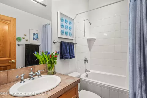 325 Summerset Lane Unit A Basalt Co 81621 Ln UNIT A, Basalt, CO 81621 photo 13