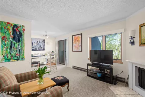 425 Park Circle C3 Aspen Co 81611 #C3, Aspen, CO 81611