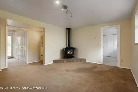 111 W Homestead Drive Basalt Co 81621 Dr, Basalt, CO 81621 photo 16