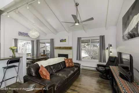 35 Lower Woodbridge Road Unit E-120 Snowmass Village Co 81615 Rd UNIT E-120, Snowmass Village, CO 81615