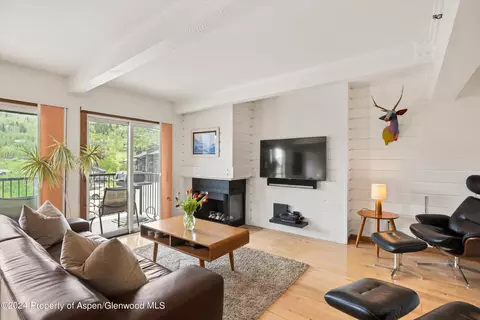 55 Upper Woodbridge Road B2 Snowmass Village Co 81615 Rd #B2, Snowmass Village, CO 81615