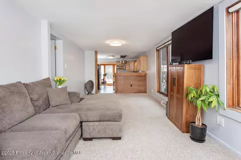 203 E Homestead Drive Basalt Co 81621 Dr, Basalt, CO 81621 photo 3