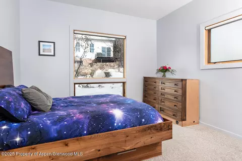 203 E Homestead Drive Basalt Co 81621 Dr, Basalt, CO 81621 photo 6